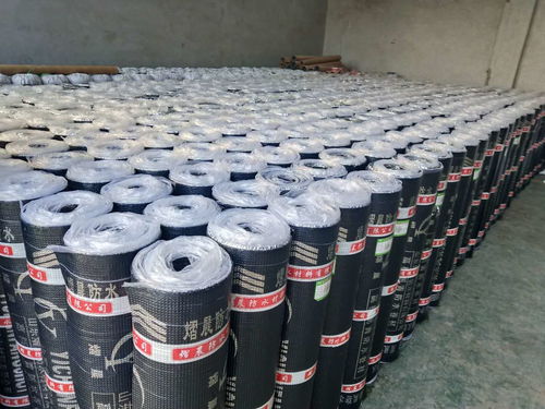 SBS改性瀝青防水卷材 地下室防水的可靠選擇